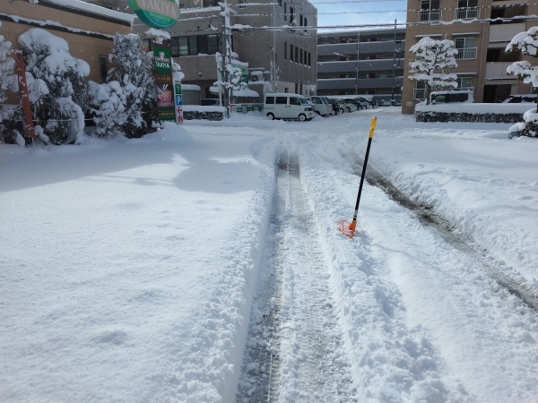 大寒波で大雪でした。の画像
